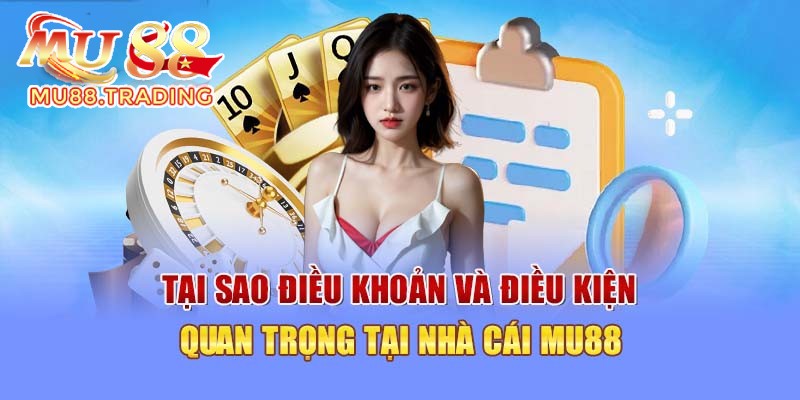 Tầm quan trọng của điều khoản và điều kiện