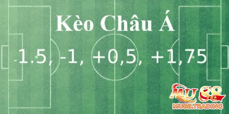 Chia sẻ các tip bet Handicap hiệu quả cho người mới chơi